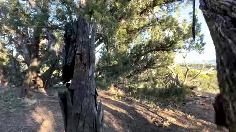 Snapshot of strangestag chatting on October 6, 11:46 pm Stag online show from October 6, 11:46 pm