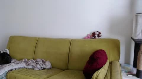 Strawberrylotsacake online show from May 13, 5:32 pm
