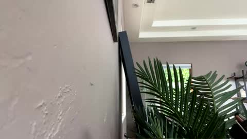 Snapshot of strawbrysugar chatting on December 11, 5:59 pm Ruby Moon online show from December 11, 5:59 pm