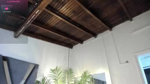 Alexa   online show from January 14, 10:54 am