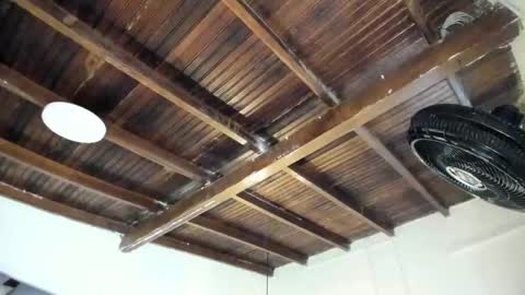 Alexa   online show from February 2, 10:58 am