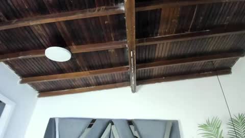 Alexa   online show from April 7, 10:59 am