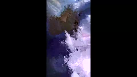 Snapshot of stuffamuffagus69 chatting on May 17, 9:33 pm stuffamuffagus69 online show from May 17, 9:33 pm