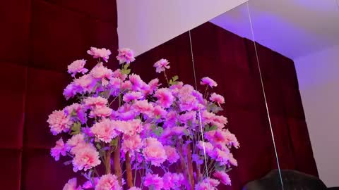 Snapshot of sugar_maple chatting on September 26, 5:11 am Sugar online show from September 26, 5:11 am