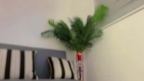 Snapshot of sugarhoneysw8 chatting on February 7, 7:29 am Jess online show from February 7, 7:29 am