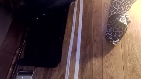 Snapshot of summerdivine69 chatting on February 22, 8:53 pm Summer Divine online show from February 22, 8:53 pm