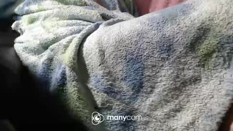 Snapshot of sunnybigboy88 chatting on November 6, 7:04 pm sven online show from November 6, 7:04 pm