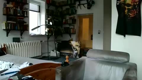 sunr1sa online show from December 7, 7:49 am