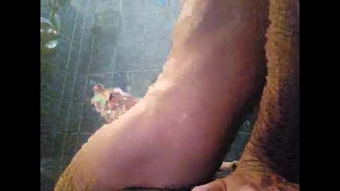 surferxzx online show from January 27, 12:54 am