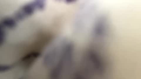 Andy online show from January 30, 9:58 pm