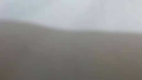 Snapshot of suzyblack4 chatting on February 17, 12:34 pm Suzy online show from February 17, 12:34 pm