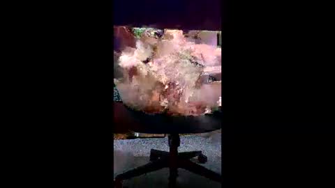 svald0 online show from June 5, 12:44 pm
