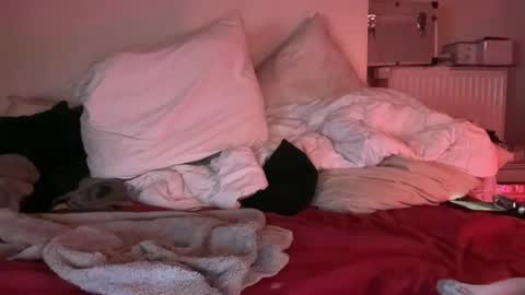 Snapshot of swannmonroe21 chatting on March 25, 5:24 am Horny French Arab online show from March 25, 5:24 am