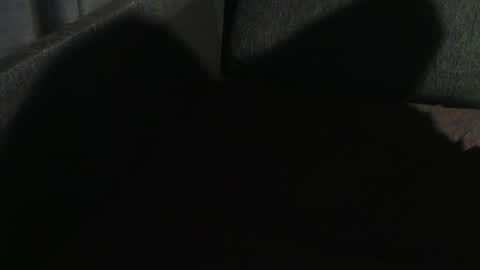 Snapshot of swartarn chatting on January 7, 11:03 pm ArnSwart online show from January 7, 11:03 pm