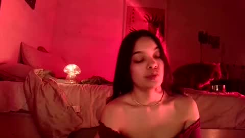 Snapshot of sweetieslikebutter chatting on December 17, 4:56 am Blu Sweets online show from December 17, 4:56 am