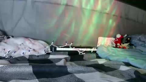 April online show from January 12, 9:03 am