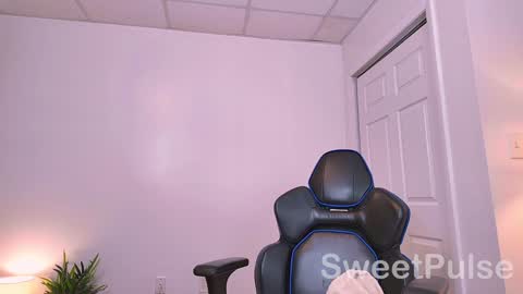 Snapshot of sweetpulse_ chatting on December 23, 10:12 pm Rose online show from December 23, 10:12 pm