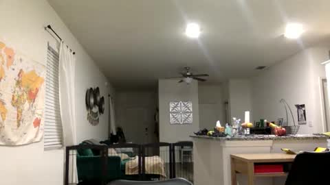 sweetriddance online show from March 1, 11:34 am