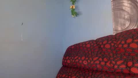 spicy online show from April 16, 8:04 am