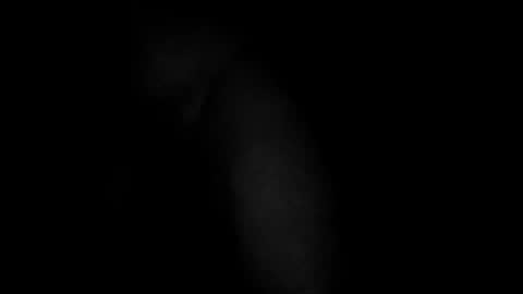 Snapshot of swollpole2112 chatting on March 10, 5:01 am swollpole2112 online show from March 10, 5:01 am
