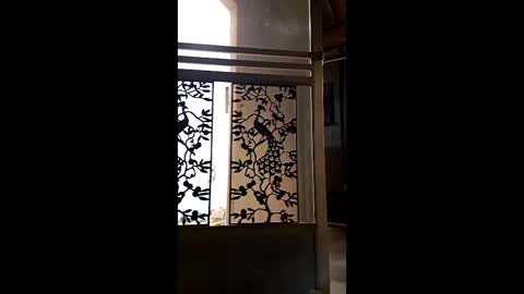 syevecrl online show from February 9, 2:04 am