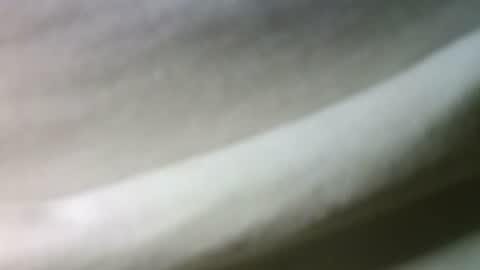 Snapshot of syrius57920 chatting on February 22, 5:46 pm syrius57920 online show from February 22, 5:46 pm