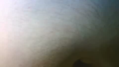 Snapshot of syrius57920 chatting on November 7, 5:13 pm syrius57920 online show from November 7, 5:13 pm