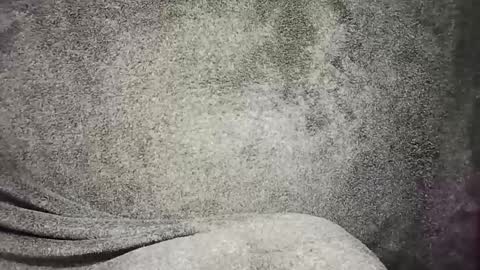 Snapshot of t0ny_cawk chatting on December 22, 7:54 am t0ny_cawk online show from December 22, 7:54 am