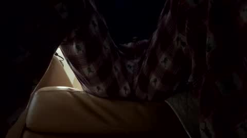 tRex online show from December 14, 12:49 am