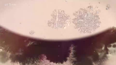 Snapshot of taanni_bc chatting on February 22, 10:08 pm TAANNI online show from February 22, 10:08 pm