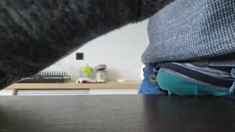 taconatatox online show from December 2, 1:35 pm