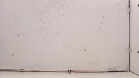 tall6feet7inch online show from February 27, 5:24 pm