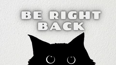 Rousaly online show from January 16, 11:36 am