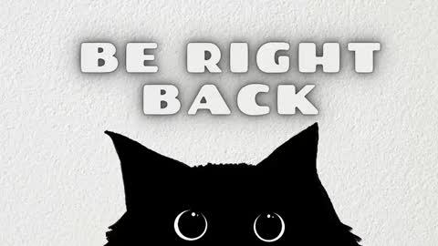 Rousaly online show from February 4, 11:27 am