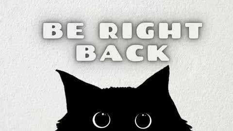 Rousaly online show from February 11, 11:15 am