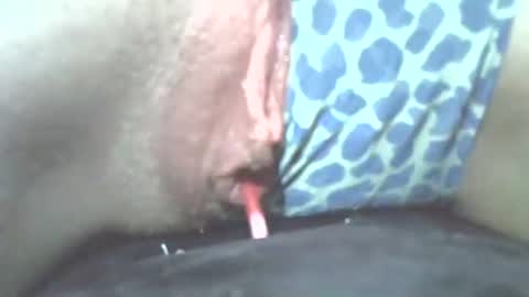 Snapshot of tamesbury chatting on November 2, 2:25 am tamesbury online show from November 2, 2:25 am