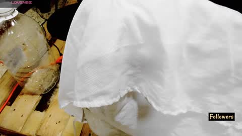 instagram Gattitasha online show from February 26, 12:38 am