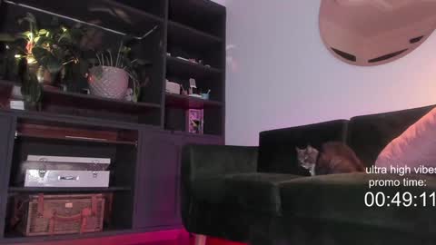 Snapshot of tattoo_ninja_kitty chatting on December 2, 10:23 pm Nathalie Hardy  online show from December 2, 10:23 pm