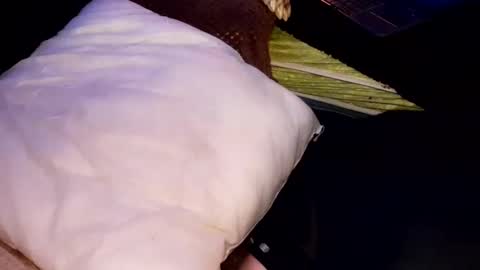 Snapshot of tattooman777 chatting on October 31, 6:58 am Jean pool online show from October 31, 6:58 am