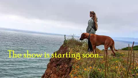 Snapshot of tatum__kahlo chatting on February 8, 9:36 pm TATUM ALL MY LINKS online show from February 8, 9:36 pm