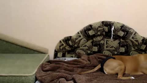 Snapshot of tayagirl chatting on December 16, 7:30 pm Taya online show from December 16, 7:30 pm