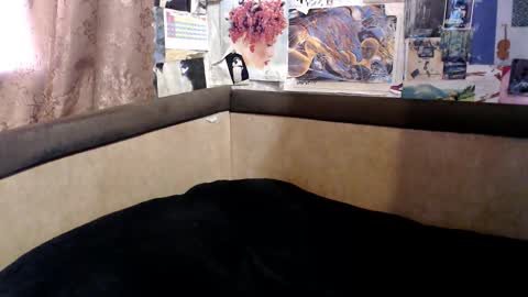 Snapshot of telema_ chatting on October 18, 2:07 pm ruth online show from October 18, 2:07 pm