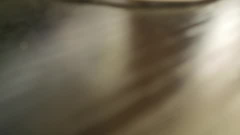 Ada  online show from March 1, 8:16 am