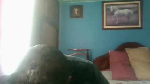 Snapshot of tender_eldelatienda chatting on January 3, 4:59 pm Fabio Canavaro online show from January 3, 4:59 pm