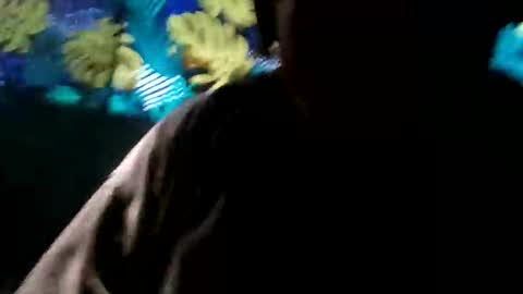 tennesseea online show from November 23, 3:23 pm