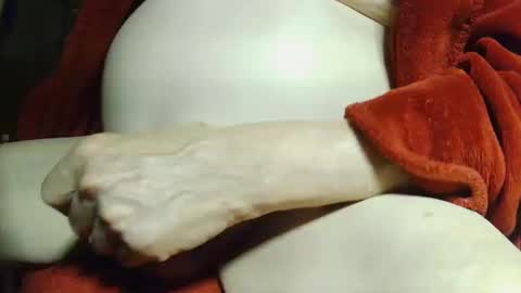 tetuo2 online show from October 8, 10:02 am