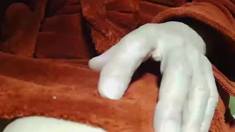 tetuo2 online show from October 14, 4:13 am