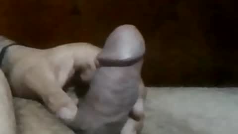 texasbigdaddy63 online show from September 19, 10:43 pm