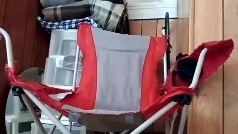 TexasDick online show from May 13, 6:05 pm