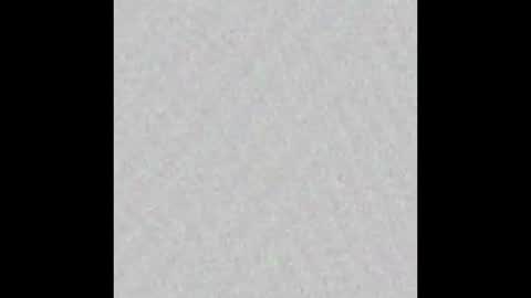 Snapshot of texpig chatting on September 26, 12:09 pm TexPig online show from September 26, 12:09 pm